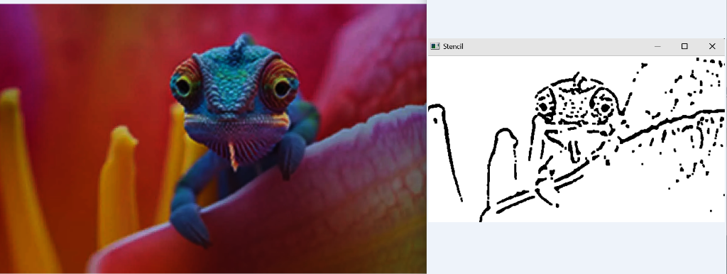 Original and edge-detected chameleon